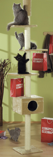 ChinChin und ihre Kinder.jpg